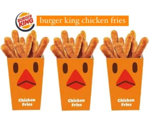 Burger King Chicken Fries – Menu with Price, Calories and Copycat Recipe